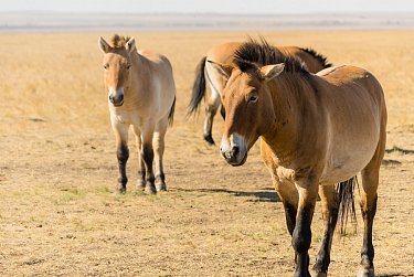 Возрождаем традиции туристических походов
